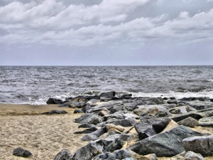 rocks at the beach
